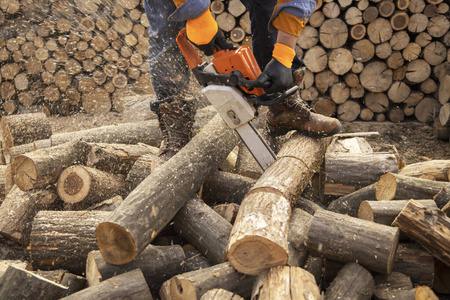 用锯子,灰尘砍木头的人照片
