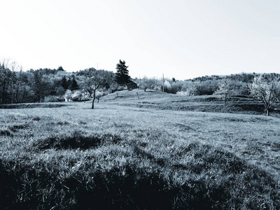 十月 林地 季节 森林 公园 颜色 橡树 美丽的 场景 风景