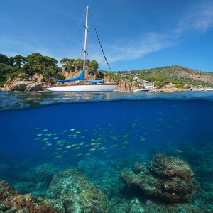 鱼帆船图片-鱼帆船素材-鱼帆船插画-摄图新视界