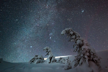 美丽的自然星空与雪松