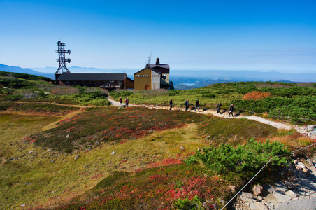 旅行 蓝天 秋天 季节 日本 旭岳 亚洲 索道 森林 落下