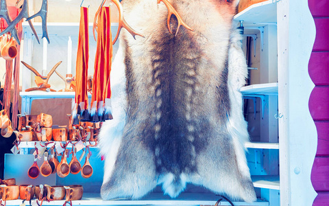 芬兰拉普兰圣诞集市驯鹿毛皮角