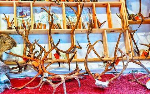 冬季罗瓦涅米新的市场摊位上有驯鹿角