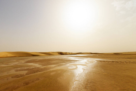 撒哈拉沙漠沙丘的水景观