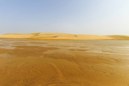 撒哈拉沙漠沙丘的水景观