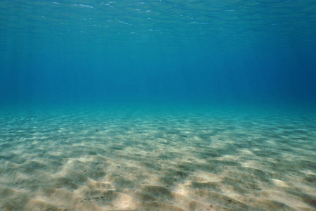 海底沙地中海自然风光图片