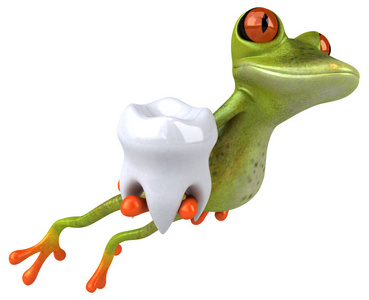 青蛙 树影 牙齿 眼睛 墨西哥 幽默 牙医 插图 动物 三维