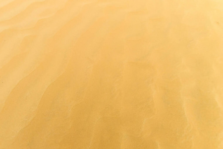 沙漠背景。细密的黄沙结构。