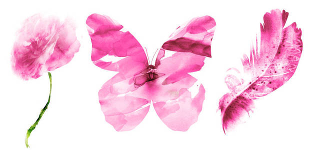环境 翅膀 梦想 自由的 玫瑰 粉红色 羽毛 优雅 自然