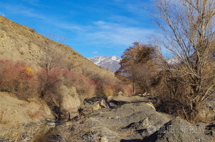 小山 冬天 峡谷 旅行 风景 范围 环境 阳光 灵感 植物