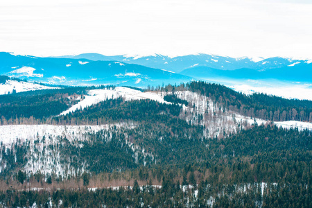 冬季喀尔巴阡风景在灰蒙蒙的日子里。