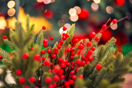 圣诞红松树，背景为波基灯，新年标志。