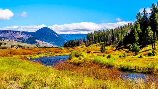 国家的 间歇泉 自然 美丽的 秋天 盆地 旅游业 火山 风景