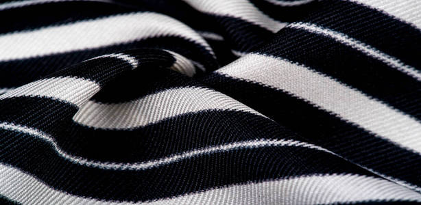 black and white stripes. this beautiful, s照片