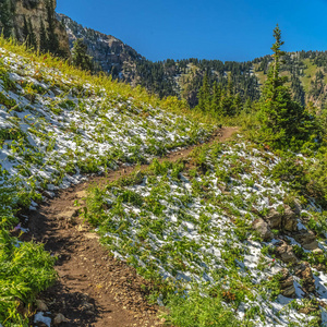 犹他州Timpanogos山上的方形土路徒步旅行