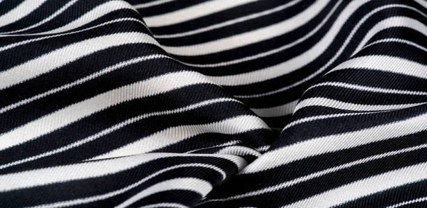 black and white stripes. this beautiful, s照片