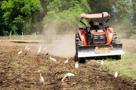 收获 机器 灰尘 自然 秋天 农业 季节 机械 植物 领域