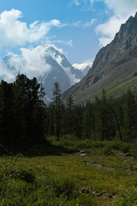 阿尔卑斯山 小山 草地 岩石 旅行 美女 山谷 旅游业 秋天