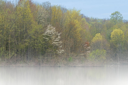 反思 湖泊 黎明 春天 美女 海岸线 美丽的 风景 荒野