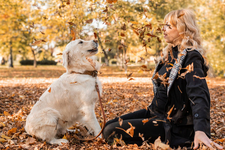 快乐的女主人在秋天公园和她的猎犬玩耍