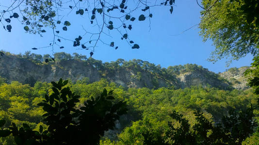 从树荫下看风景如画的山