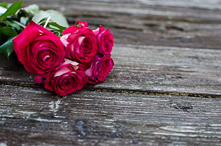 Beautiful fresh roses grow outdoors in the summer 