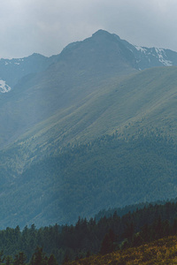 阿尔卑斯山 自然 森林 旅游业 旅行者 全景 日落 岩石