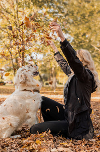 快乐的女主人在秋天公园和她的猎犬玩耍