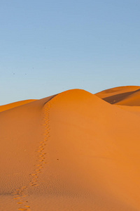 撒哈拉沙漠的沙丘。Erg Chebbi Merzouga摩洛哥