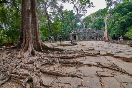 考古学 遗产 佛教 文化 瓦特 地标 柬埔寨 文明 寺庙