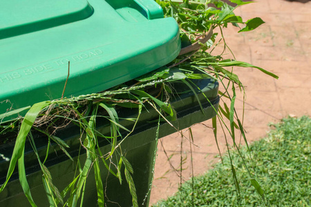 装满花园垃圾的绿色垃圾箱。回收垃圾以改善环境。