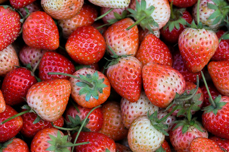 Fresh strawberry 