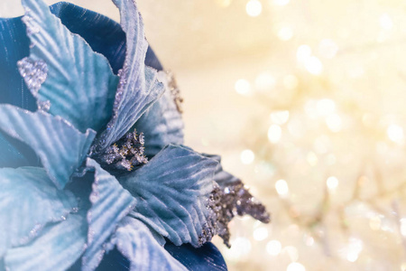 背景为bokeh的圣诞蓝花带