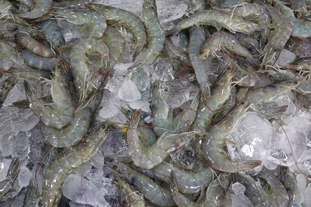 超市里卖的一堆新鲜的白腿海虾。