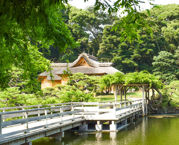 花园 房屋 桥梁 房子 公园