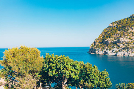 海岸 菩提树 美丽的 美女 海岸线 夏天 森林 绿松石 海景