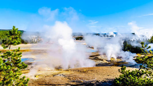 蒙大拿 旅游业 火山口 国家的 蒸汽 地质学 旅行 荒野