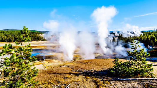 自然 细菌 热液 火山口 超级火山 黄石公园 美国 旅游业