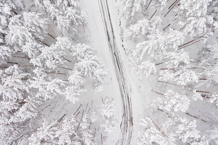 Aerial view on the road and forest at the winter time. Snowy for