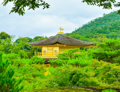 建筑学 日本人 京都 历史的 花园 建筑 亭阁 日本 建筑物