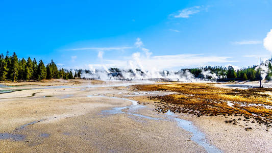 超级火山 盆地 细菌 黄石公园 风景 蒙大拿 旅游业 旅行