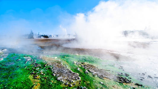 春天 公园 怀俄明州 微生物 火山口 间歇泉 旅游业 蒸汽
