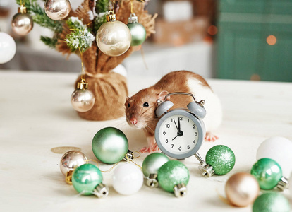 圣诞老鼠象征着2020年的新年。鼠年。2020年春节。圣诞玩具，博克。圣诞装饰品背景上的老鼠。圣诞贺卡模板新年ra