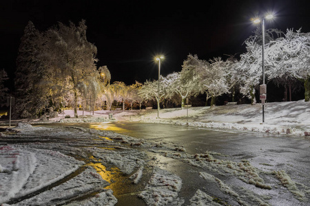 白雪覆盖的树木，漆黑的天空和闪亮的灯笼。夜景拍摄。夜间降雪