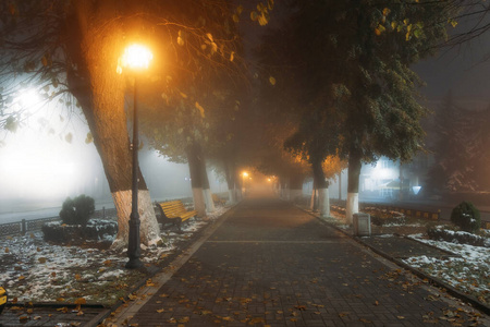 Empty alley at foggy street at night city