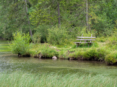 森林池塘边的长凳图片