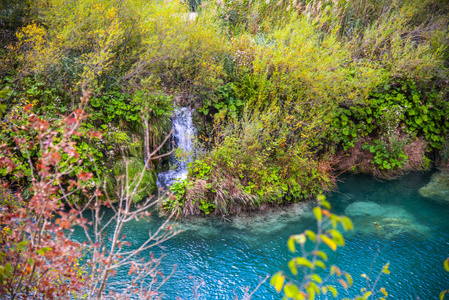 绿松石 公园 环境 森林 春天 旅游业 植物 流动 自然