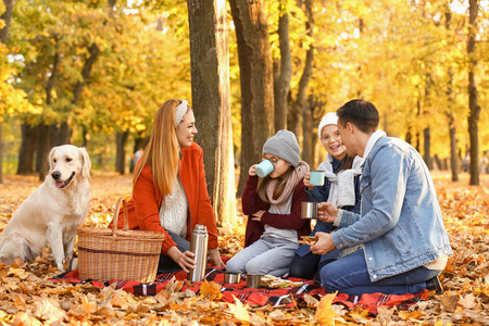 快乐的一家人在秋天公园野餐图片