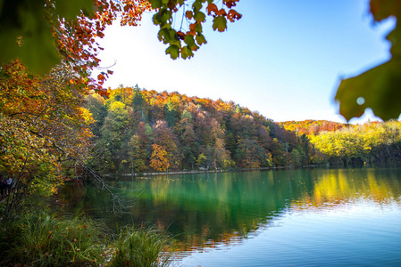 旅行 反射 秋天 颜色 风景 天空 树叶 木材 自然 克罗地亚
