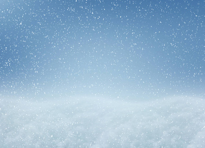 鳞片 雪堆 天空 照片 复制空间 纹理 降雪 季节 冬天